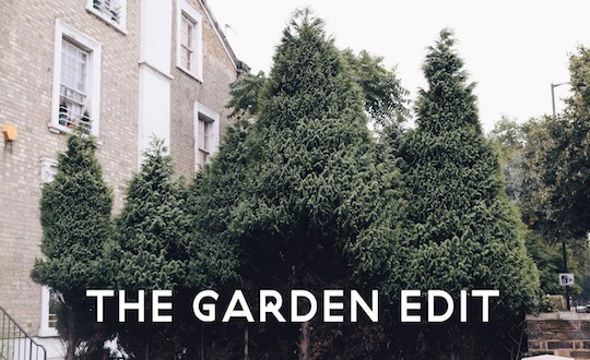 The Garden Edit